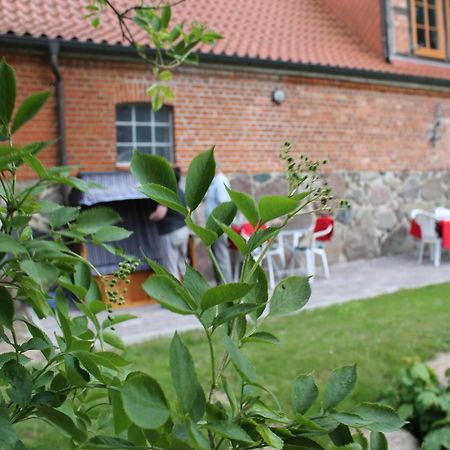 Mansion In Gressow With Terrace Garden Bbq Pond Bicycles Villa Dış mekan fotoğraf